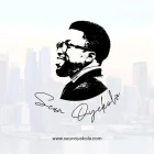 Seun Oyekola store logo
