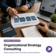 Organizational Strategy Consulting