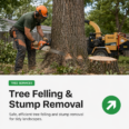 Tree Felling & Stump Removal