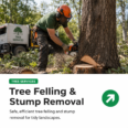 Tree Felling & Stump Removal
