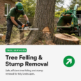 Tree Felling & Stump Removal