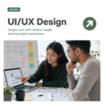 UI/UX Design