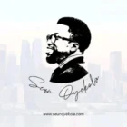 Seun Oyekola Store Logo